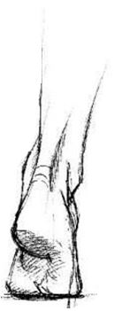 foot reflexology